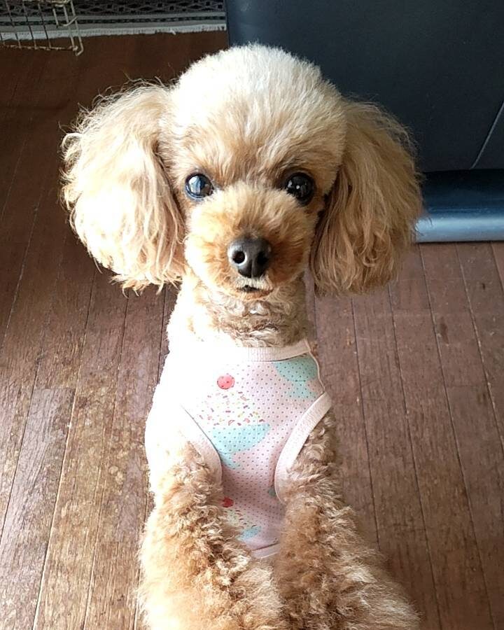 塚崎 素子